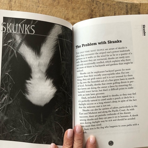 “Squirrel Wars: backyard wildlife battles and how to win them” illustrated book - Picture 8 of 12